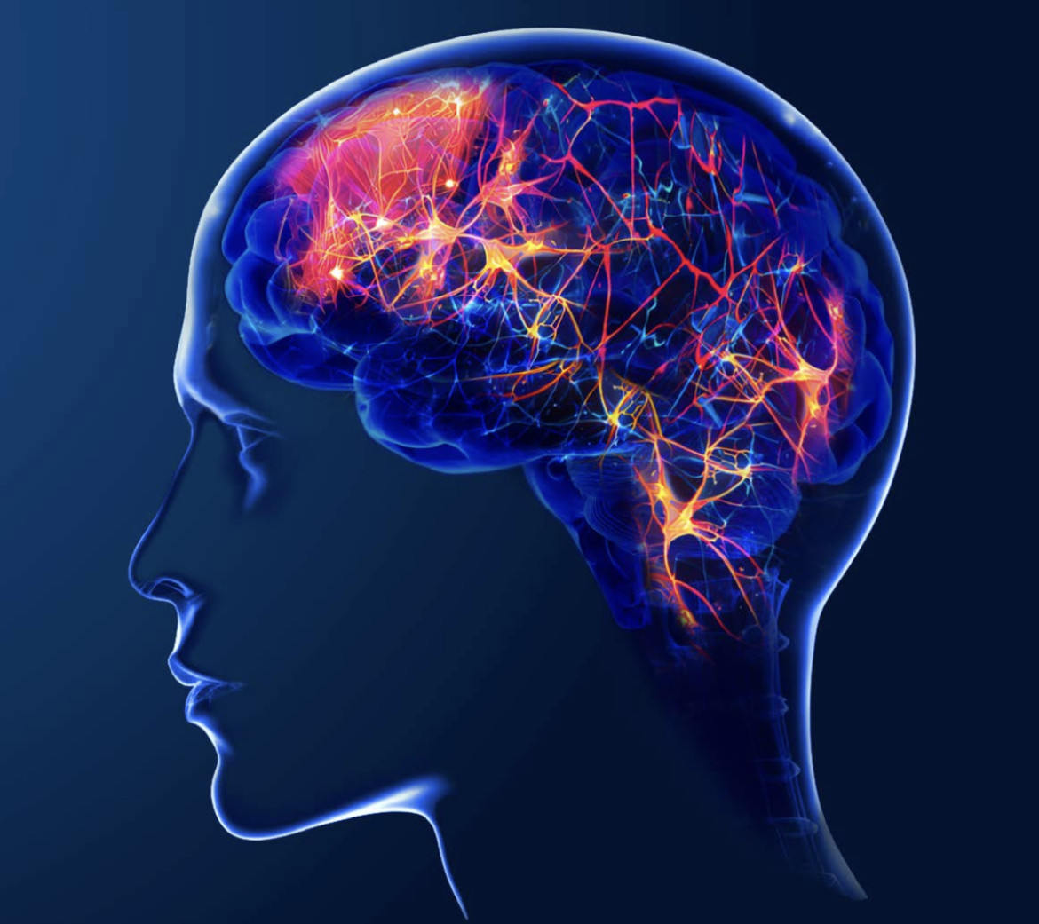 Screenshot-2025-06-12-at-3.27.08 AM